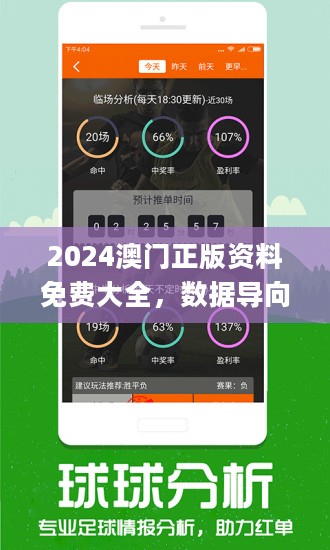 2024澳门免费资料,正版资料｜2024年澳门免费资讯，官方资料_全面执行计划