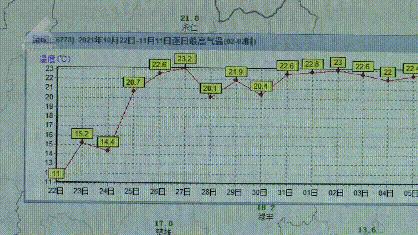 今日股市动态解析