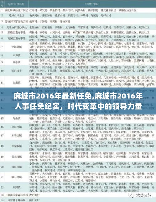 麻城市2016年喜迎新篇章：人事任命焕新颜