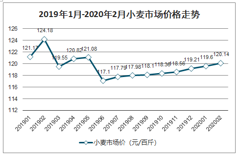 2025年小麦市场最新动态与价格走势分析